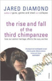 The Rise and Fall of the Third Chimpanzee: How Our Animal Heritage Affects the Way We Live - Jared Diamond