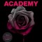 Vampire Academy 10th Anniversary Edition