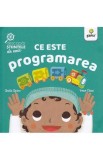 Ce este programarea, Gama