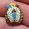 Insigna UCFS, Uniunea pentru Cultura Fizica si Sport