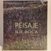Georgeta Djordjevic - Peisaje Ilie Boca, 2014