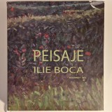 Georgeta Djordjevic - Peisaje Ilie Boca, 2014