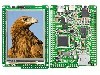 Afisaj TFT, grafic, rezolutie 240x320, 2,8", {{Tensiune alimentare}}, MIKROE - MIKROMEDIA FOR PIC24