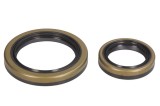 Cumpara ieftin Set garnituri arbore cotit pentru BETA EVO 250/300 2009-2021