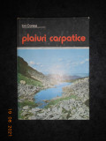 ION CONEA - PLAIURI CAPATICE (1984, editie cartonata)