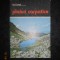 ION CONEA - PLAIURI CAPATICE (1984, editie cartonata)