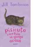 Pisicuta care voia sa ajunga acasa - Jill Tomlinson