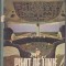 PILOT DE LINIE, Autor: Aurel Raican Editura: Albatros 1980