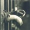 John Cheever - Falconer