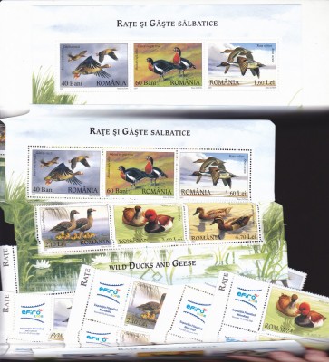 RATE SI GASTE SALBATICE,X2,BLOC + SERIE CU VINIETA,2007, MNH ** ROMANIA. foto