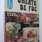 Gheata de foc - Victor Birladeanu