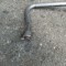 Conducta AC compresor-radiator aer conditionat FORD FOCUS C MAX 1.8 TDCI