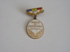QW9 L 11 - Insigna - tematica comunism - Fruntas in gospodarirea comunei an 1977