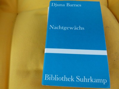 Nachtsgawachs - Djuna Barnes foto