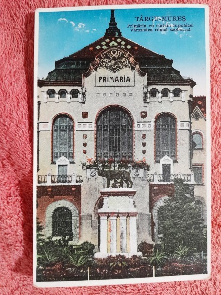 Carte postala, Targu-Mures, Primaria cu statuia lupoaicei, perioada interbelica