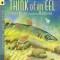 Think of an Eel: Read and Wonder