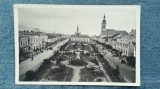 70 - Marmarossziget Foter - Parkreszlet Sighetu Marmației / carte postala, Circulata, Fotografie