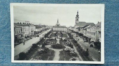 70 - Marmarossziget Foter - Parkreszlet Sighetu Marmației / carte postala foto