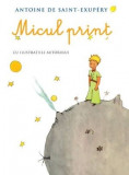 Micul print - Antoine de Saint-Exupery