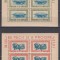 ROMANIA 1946 LP 198 a TINERETUL PROGRESIST POSTA AERIANA BLOCURI DE 4 TIMBRE MNH