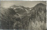 AMS# - FOTOGRAFIE VALEA DOAMNEI NEGOIUL, NECIRCULATA