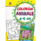 Coloram animale 4-6 ani, Didactica Publishing House