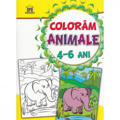 Coloram animale 4-6 ani