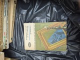 Ghepardul vintage