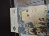 Eminescu poezii 2 vintage