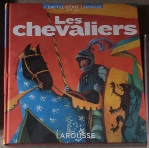 Le Lorrain Anne-Marie, Dautremer Rebecca - Les Chevaliers