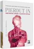 Pierdut in Amsterdam orasul tolerantei depline - Universul Juridic