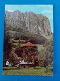 CPIB 23241 CARTE POSTALA - MANASTIREA RAMET, MONUMENT ISTORIC. PEISAJ CU STANCILE RAMETULUI, NECIRCULATA