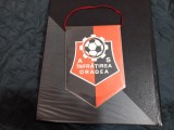 Fanion Infratirea Oradea