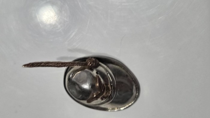 Miniatura palariuta germana