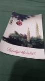Cumpara ieftin CARTE POSTALA FELICITARE CIRCULATA