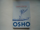 Traieste in felul tau. Ce inseamna cu adevarat sa fii rebel? - Osho, 2014, Litera