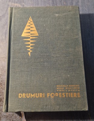 Drumuri forestiere Rostislav Bereziuc foto