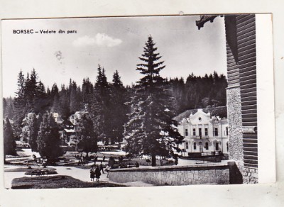 bnk cp Borsec - Vedere din parc - uzata foto