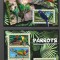maldives pasari mnh