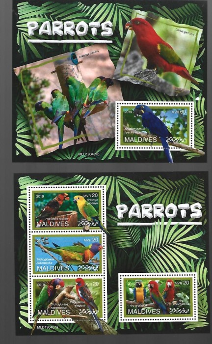 maldives pasari mnh