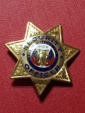 Insigna Security Officer