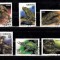 A12 S1 4 - Timbre foart vechi - Tanzania - reptile