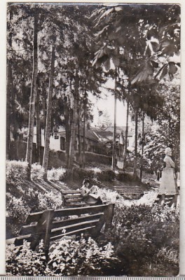 bnk cp Vedere din Bazna - circulata foto