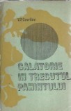 Cumpara ieftin Calatorie in trecutul pamantului V. P. Gavrilov Editura Tehnica 1980 Carte veche colectie