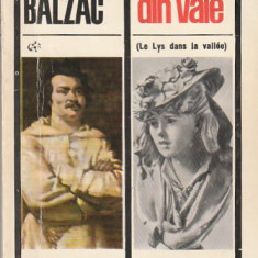 HONORE DE BALZAC - CRINUL DIN VALE ( CLU )