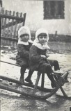 P2962N Copii cu sanie, Rom&acirc;nia, perioada interbelică