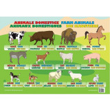 Planșă - Animale domestice - Hardcover - Ars Libri