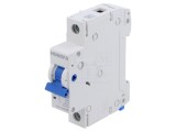&Icirc;ntrerupător de supracurent 230/400VAC 40A 1 Poli 6kA