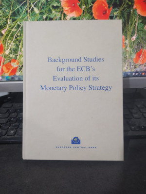 Background studies for the ECB`s Evaluation of its Monetary Policy Strategy, 067 foto
