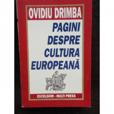 PAGINI DESPRE CULTURA EUROPEANA - OVIDIU DRIMBA foto